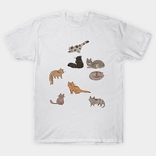 Kitty Cats! T-Shirt